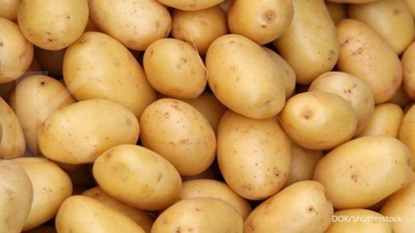 Pabrik Kentang Goreng Beku Pertama di Asia Tenggara Mulai Beroperasi