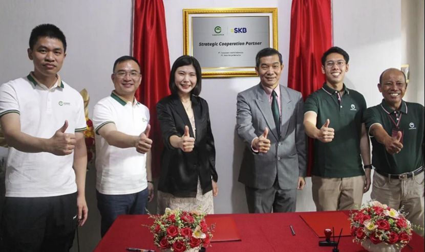 Perusahaan Peralatan Listrik China Mendalami Pasar Indonesia