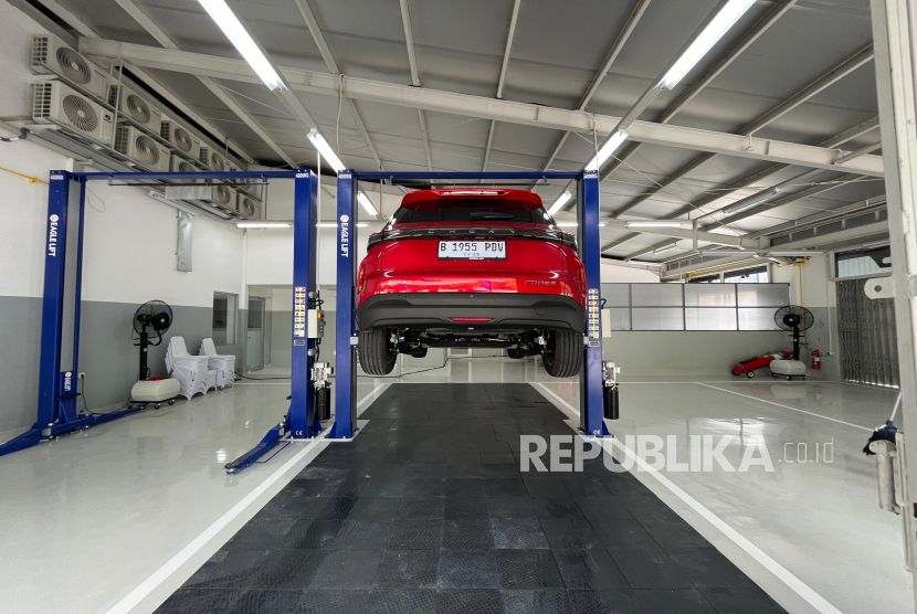 Japanese Auto Dealers Switch to Distributing Chinese Brands