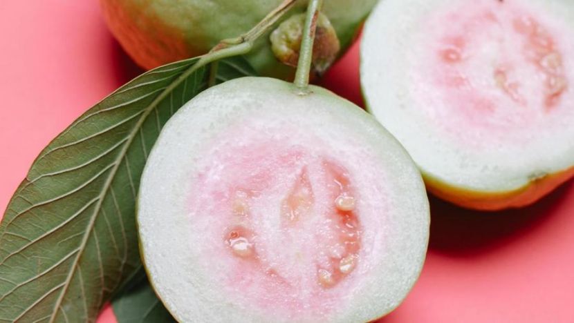 Perkembangan Industri Jambu Biji di Indonesia