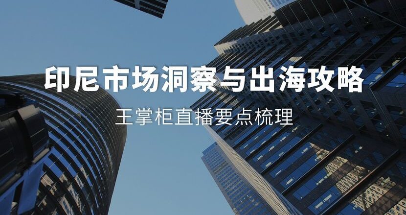 Indonesia Market Insights and Overseas Expansion Guide: Summary of Wang掌柜's Live Stream Key Points