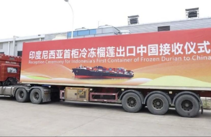 Indonesia's First Batch of Frozen Durian Officially Enters Chinese Market
