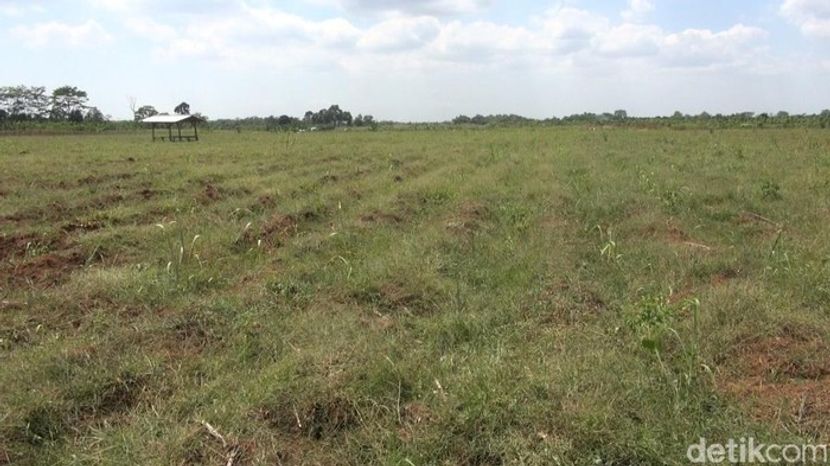 Alasan Penjualan Lahan Industri di Kawasan Jabodetabek Bergairah