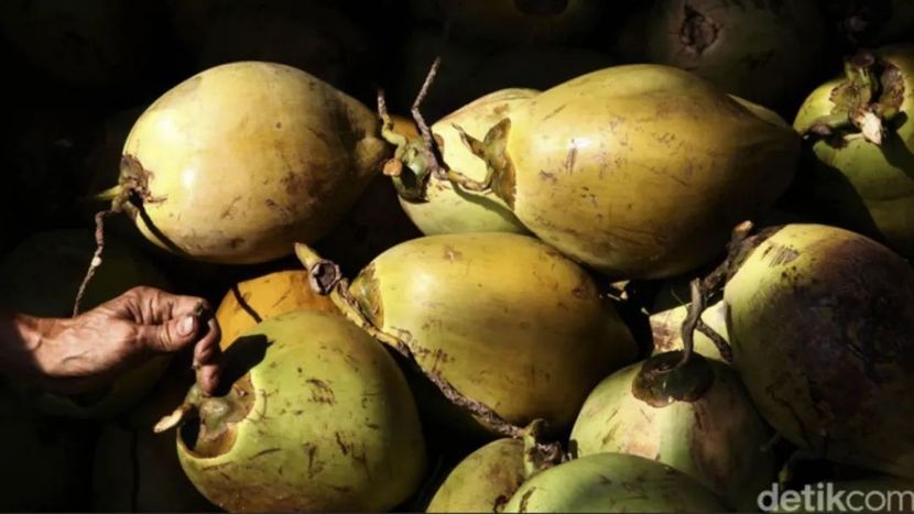 Tiongkok Aktif Berinvestasi dalam Pengembangan Industri Hilir Kelapa Indonesia