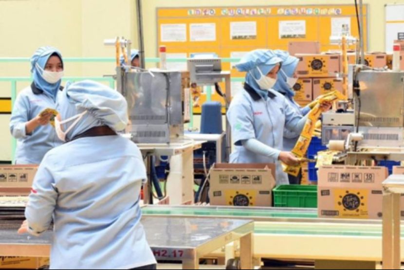 Kementerian Investasi Indonesia Mengingatkan Investor China untuk Hati-hati Mencari Lahan Industri