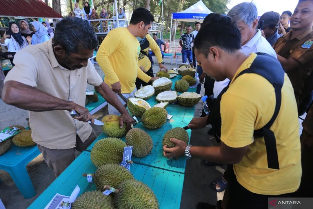 Nilai Ekspor Durian Indonesia ke China Mencapai USD 8 Miliar