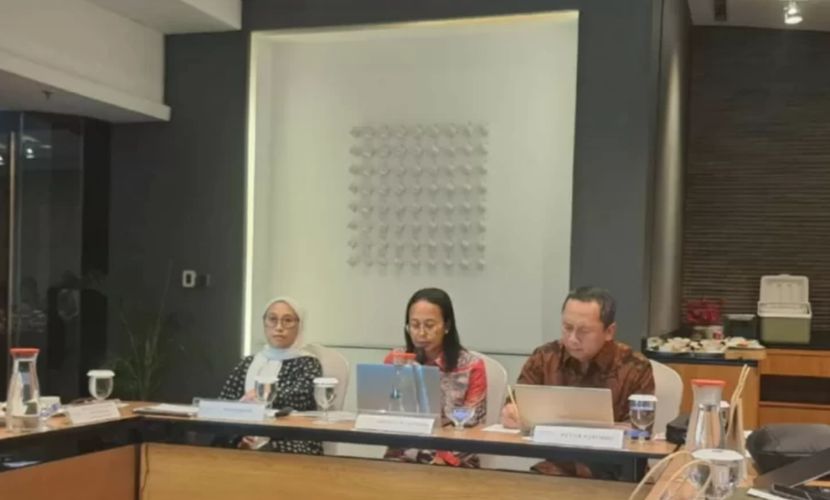 Indonesia's Refractory Materials Industry Becomes a New Engine for Economic Growth