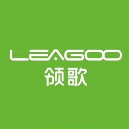 LEAGOO 领歌集团