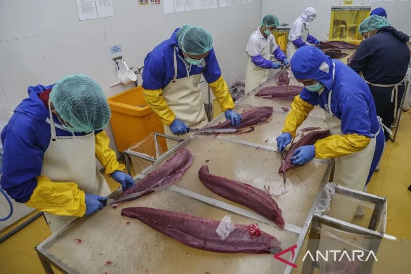 印尼57家鱼类加工企业获中国海关批准渔业出口