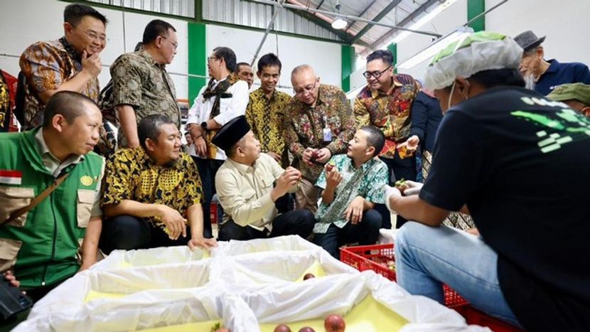 印尼合作社农产品持续出口到中国